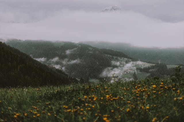 Valley of Flowers Tour Package